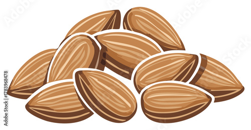 Pile of fresh almonds, illustration of healthy nuts, natural food, isolated white background
