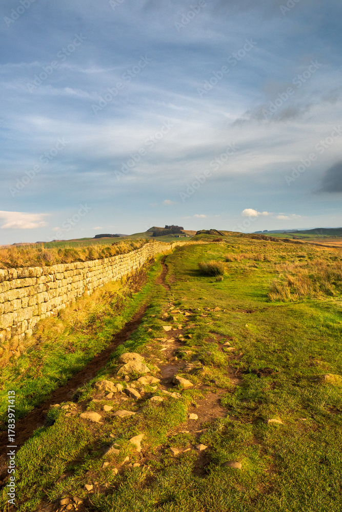 Naklejka premium Hadrians Wall in Northumberland. A World Heritage Site, this wall is 73 miles long and 2000 years old. This is the area near Sycamore Gap