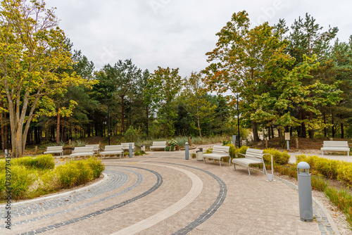 Park Pathway with White Benches Surrounded by Trees and Fallen Leaves