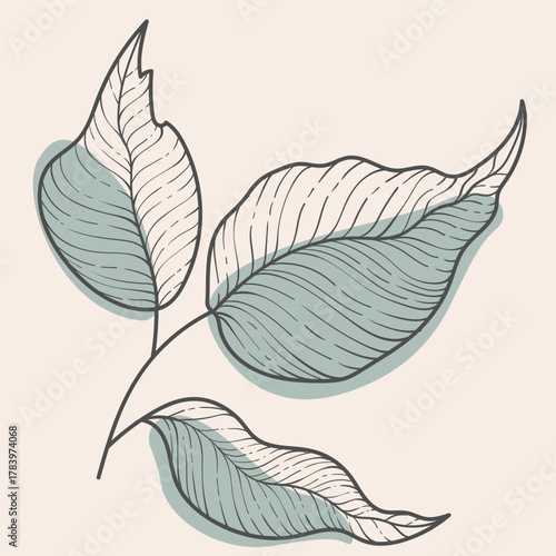 Elegant Line Vector Art Botanical Foliage