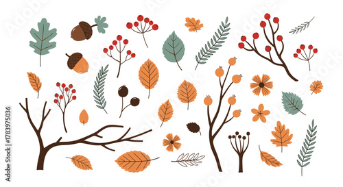 Diverse collection displays a charming assortment of autumn leaves, berries, branches, and acorns in a rich tapestry of fall colors.