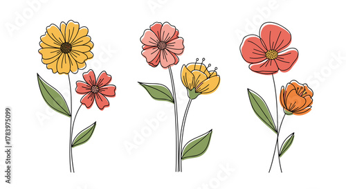 Charming collection of three stylized flower illustrations, each combining delicate line art outlines with soft watercolor-like color accents and slender stems.