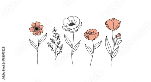 Elegant collection of five stylized flower illustrations, each combining delicate line art outlines with soft pink color accents and slender stems, evoking grace.