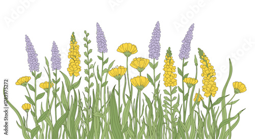 Picturesque illustration depicts a vibrant wildflower meadow brimming with tall yellow and delicate purple blossoms, surrounded by lush green grasses, creating a serene natural landscape.