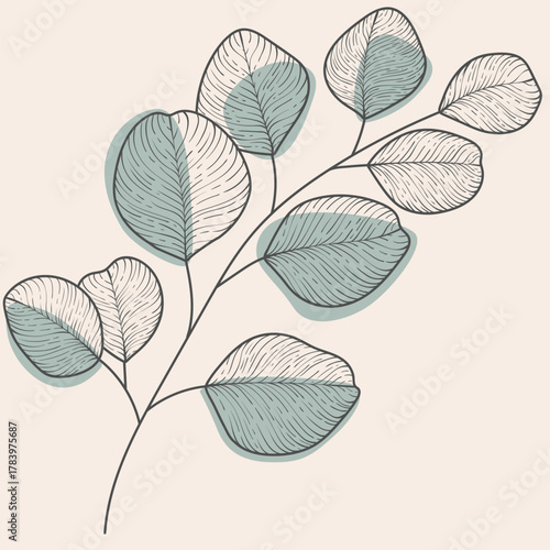 Delicate Line vector Art Botanical Branch with Shaded Leaves