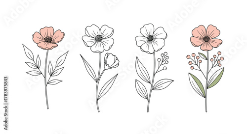 Beautiful collection of hand-drawn flowers with delicate outlines, some featuring soft pink petals and green leaves, ideal for elegant and natural botanical illustrations.