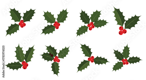 A collection of eight festive holly sprigs with red berries and green leaves, presented in various orientations, perfect for Christmas and winter holiday decorations.