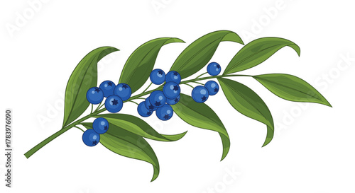 A detailed illustration of a branch laden with ripe blueberries and lush green leaves, capturing the essence of natural growth and healthy, delicious fruit.