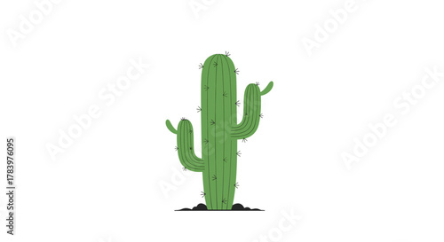 A solitary green saguaro cactus standing tall in the desert, depicted in a simple, stylized illustration, representing resilience and arid landscapes.