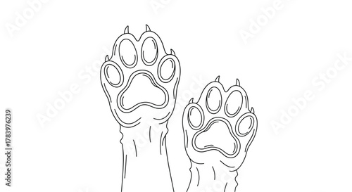 A minimalist line drawing of two animal paw prints, one slightly larger than the other, suggesting tracks or a playful encounter.