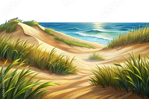 Golden sand dunes with tall grass leading to calm ocean in the Hamptons