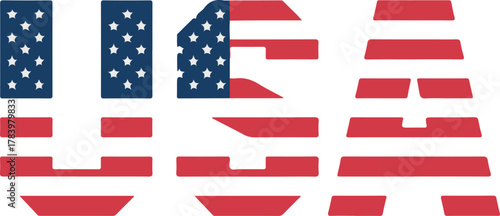 typography text of united states flag vector illustration