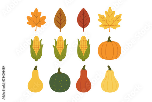 Assortment of autumn harvest vegetables and fall leaves icons
