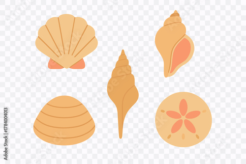Stylized icons of various seashells and a sand dollar