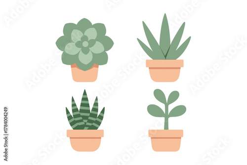 Four potted succulent plants in simple flat design style