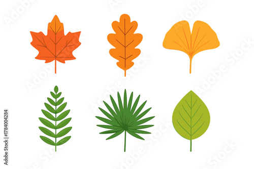 Quadro em tela Stylized assortment of tree leaves showing summer and autumn colors