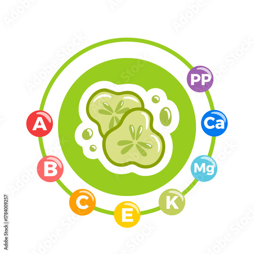 Cucumber with vitamins and minerals emphasized, featuring crisp green stems, glossy sliced pieces, and subtle nutrient icons, designed as a clean vector illustration.