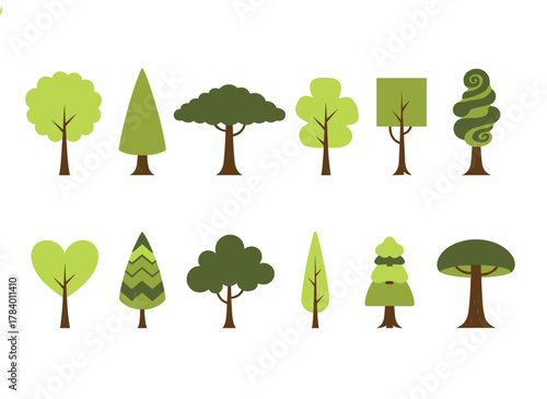 A collection of trees with lush deciduous and coniferous foliage, featuring green crowns and trunks, depicted as a flat botanical vector illustration on a white background