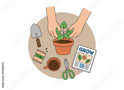 Illustration of replanting flowers from a top‑down flat vector view, featuring a houseplant nursery, indoor succulents and Pilea cultivation, along with floristry and gardening, and a woman planting