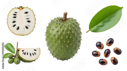 Vector illustration of soursop fruit collection, whole, halved, and seeds on a white background