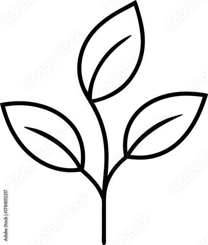 Minimalist Black Line Plant with Three Almond Leaves