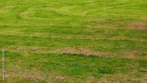 Fotografie Poorly maintained lawn with bare spots and low quality grass