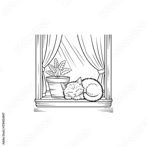 A sleeping cat curled up on a windowsill a charming silhouette