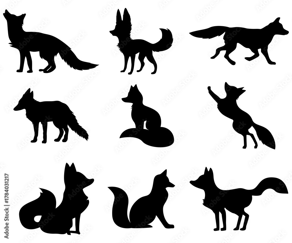 Obraz premium fox predator animal wildlife silhouettes in different positions collection