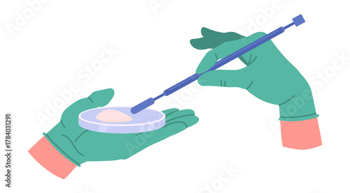 Dentist hands in rubber gloves. Stomatologist with dental tools, holding dental equipment flat vector illustration. Cartoon dentist tools in doctors hands