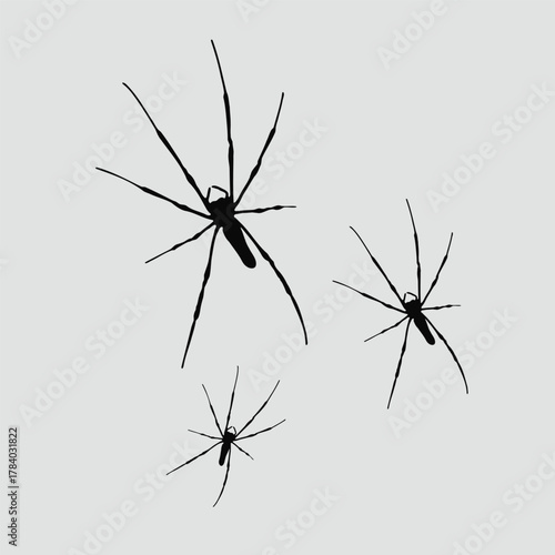 Black spider silhouettes on a light background. Perfect for Halloween, horror art, spooky designs, posters, t-shirts, and vector illustrations. Clean, bold, and creepy insect graphic.