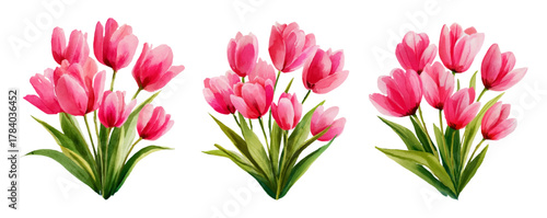 Watercolor set of pink tulips. Bouquet of pink tulip flowers with green leaves. Cute hand drawn everlasting flowers. First spring flowers. Floral elements for March 8, Mother's Day and others.