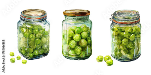 Watercolor set of glass jars with pickled peas. Green peas in marinade. Ingredient for Olivier salad. Canned peas for cooking. Food preparations in jars.