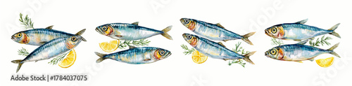 Watercolor set of sea fish with a slice of lemon and a sprig of rosemary. Mediterranean sardine with spices. Sardines. Mediterranean seafood.