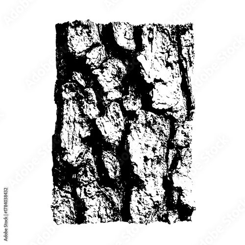 Close up monochrome illustration of a rectangular section of rough tree bark texture on white background