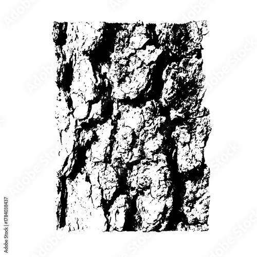 Close up monochrome depiction of tree bark with deep furrows and rough texture creating a stark contrast