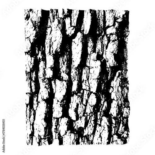 Close up view of a tree bark texture with deep furrows and rough surface in black and white illustration