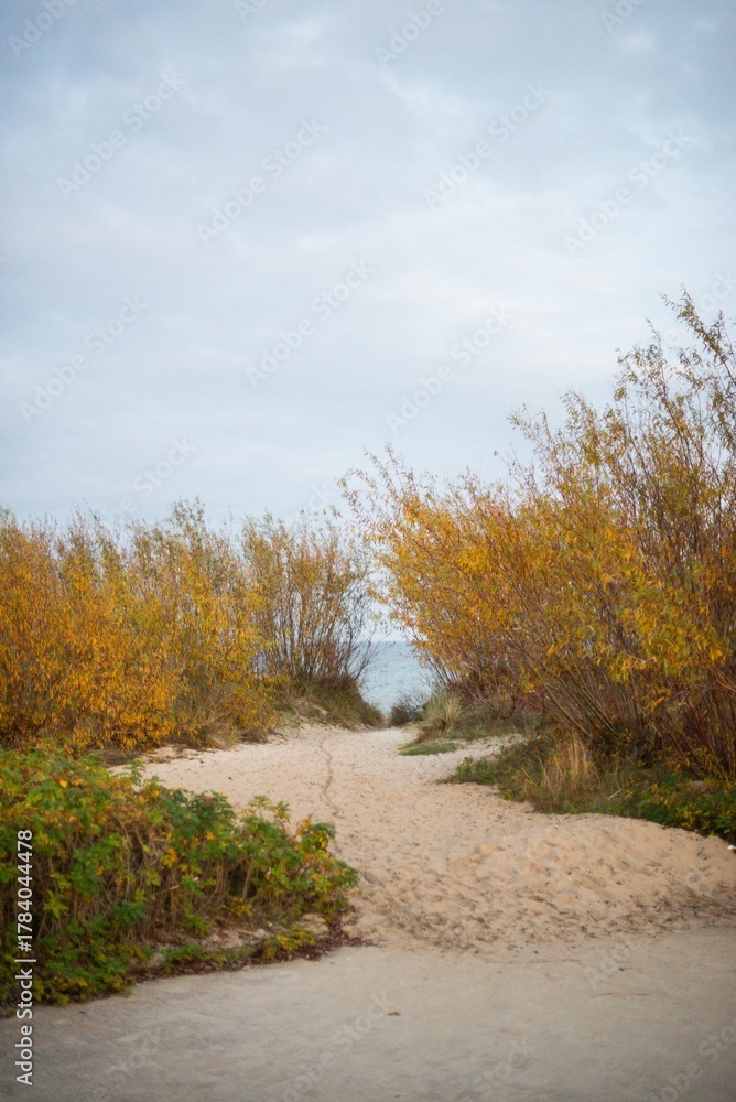 Fototapeta premium autumn in the park