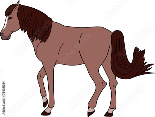 Brown horse isolated on white background	