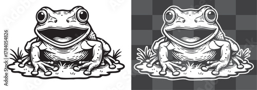 Vintage vector engraving illustration of frog sitting on ground in monochrome and outline versions isolated on transparent background, detailed amphibian artwork symbolizing nature and wildlife