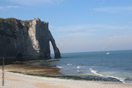 Majesté de Craie : L'Arche d'Étretat et la Côte d'Albâtre