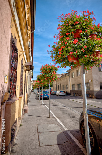 Budapest, Hungary - July 28, 2025: Bright hanging flower baskets line a quiet residential street in Budapest on a sunny afternoon, showcasing urban beautification efforts and seasonal city charm.
