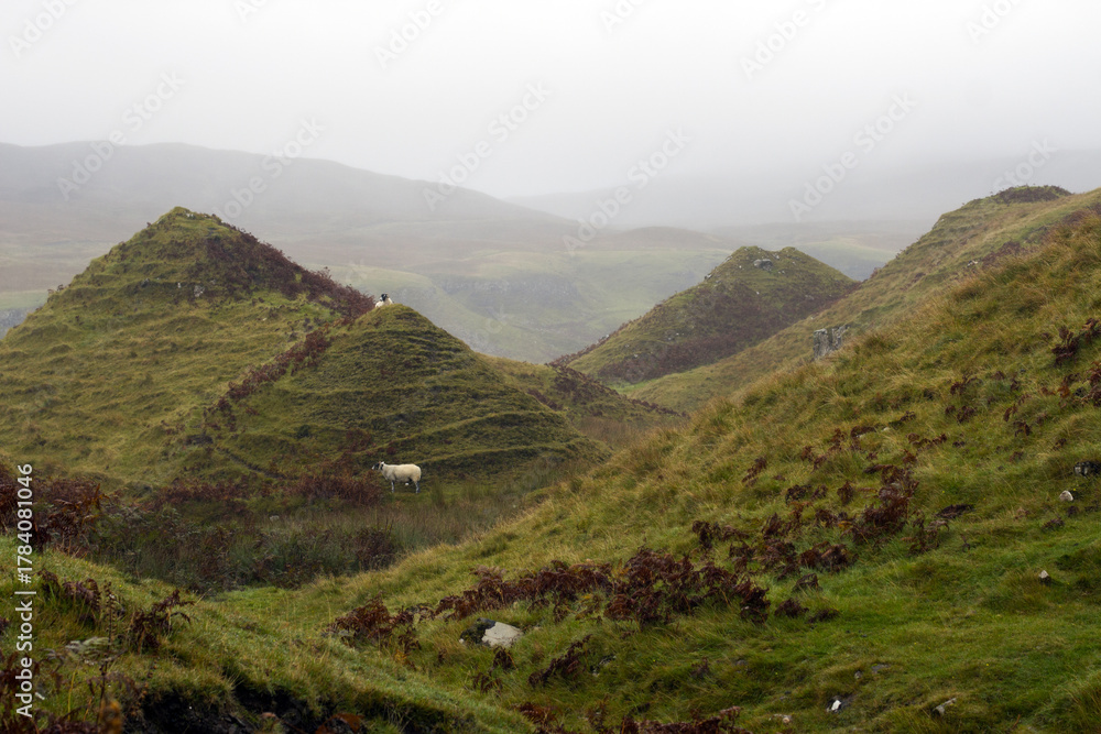 Obraz premium Isle of Skye, Fairy Glen, Mountain, Sacred Place in the Scottish Highlands, Scotland