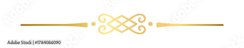 Gold text divider doodle. Wedding decorative element. Divider ornament, border, vintage line separator. Hand drawn vector illustration isolated on a transparent background