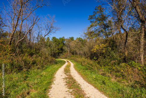 An Old Narrow Road In The Woods In Autumn