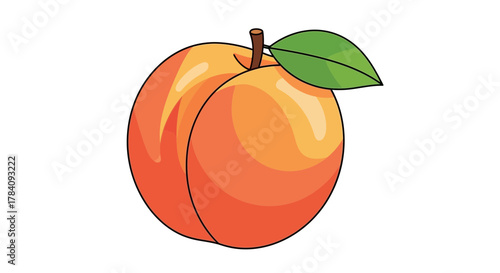 Cartoon style peach illustration with green leaf isolated on white backdrop
