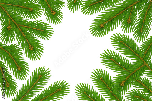 Pine branches forming a border with green spruce needles and twigs, creating a festive frame on transparent background