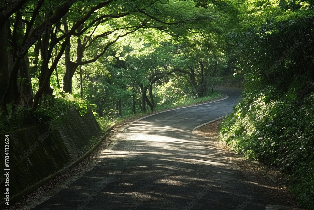 Obraz premium Winding road through a lush forest canopy, sunlight filtering through