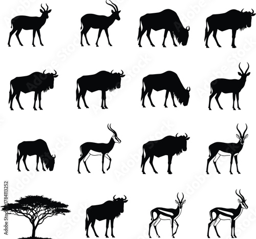 Savanna animal silhouette grid, antelope and wildebeest poses, acacia tree, species variation, black and white, wildlife vector illustration set