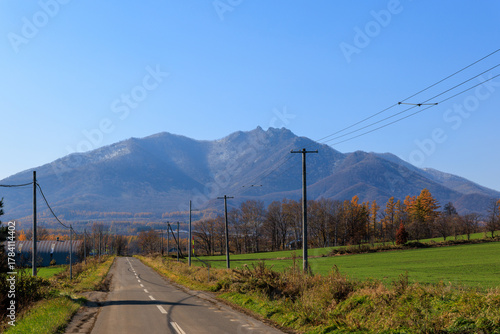 十勝の秋の道
