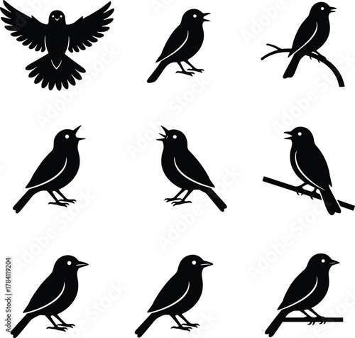 Bird silhouettes in varied poses, perched and calling, black figures, nature behavior, branch interaction, avian posture study, wildlife scene, flying and standing birds